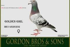 WO IHU14N26202 GOLDEN GIRL Gordon Bros