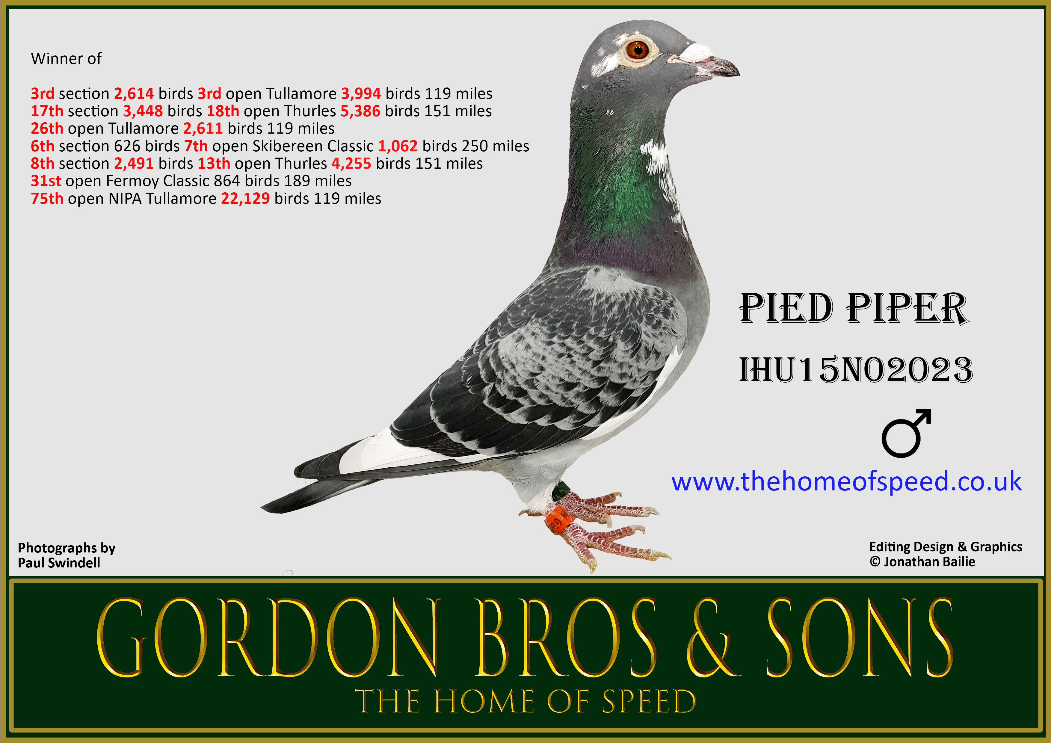 Pied Piper IHU15N02023